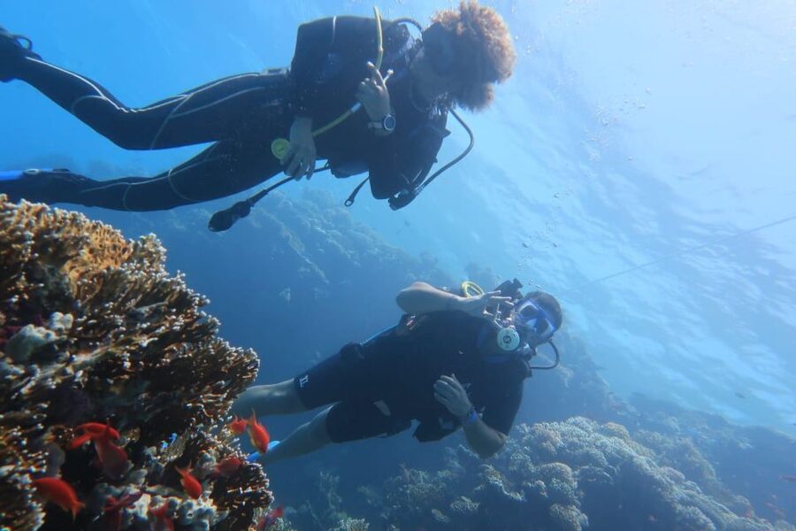 Catania: Gulf Scuba Diving Tour with Marine Biologist - Should you book it?