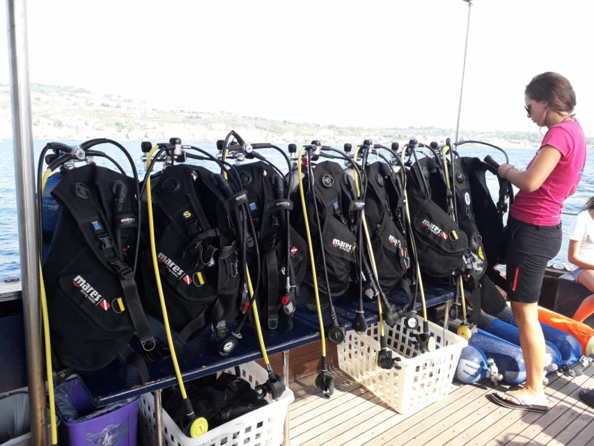 Catania: Gulf Scuba Diving Tour with Marine Biologist - How the boat time fits into the experience