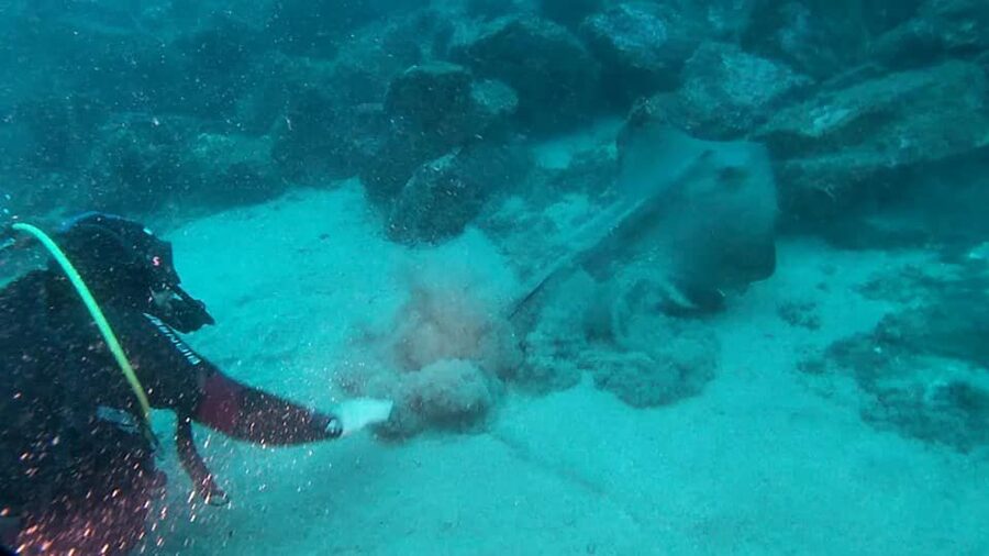 Catania: Gulf Scuba Diving Tour with Marine Biologist - Safety is where this trip earns its strong reputation