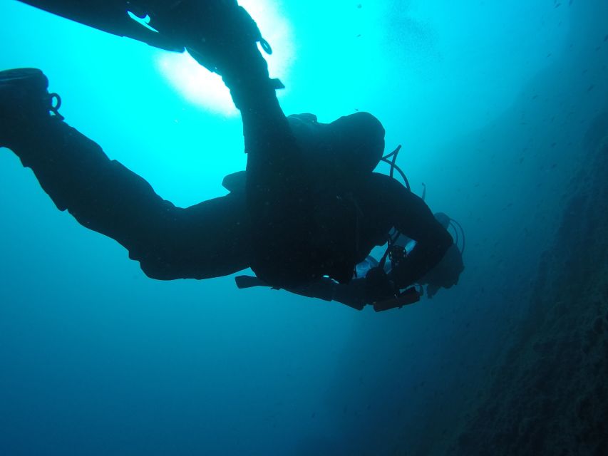 Catania: Gulf Scuba Diving Tour with Marine Biologist - Is $82 a fair price?