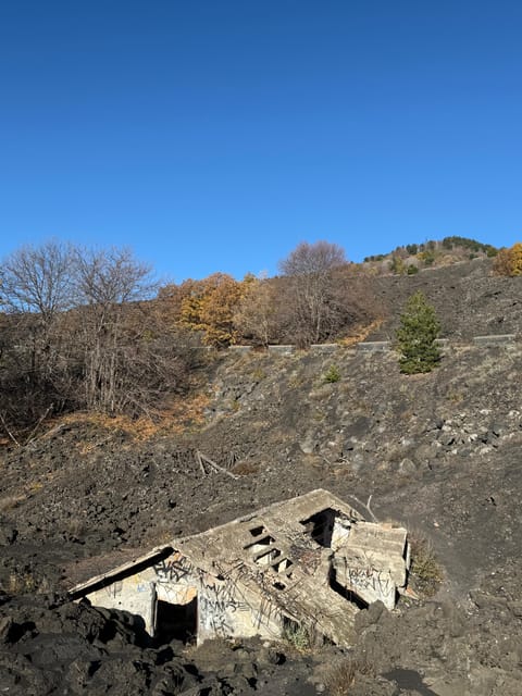 Catania: Morning Jeep Tour of Mount Etna and Lava Flow Caves - Looking across the Valle del Bove