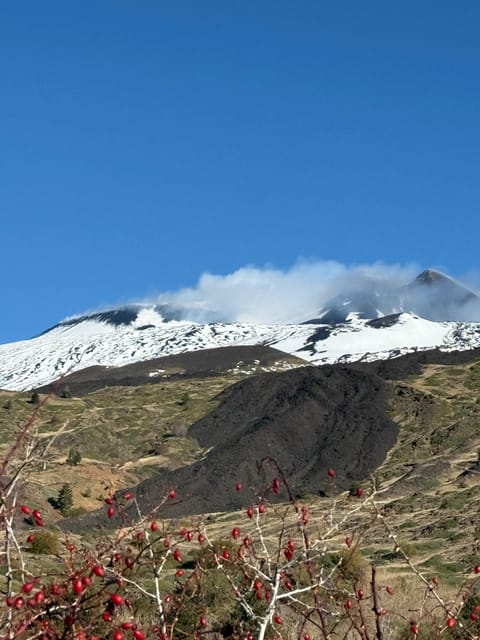 Catania: Morning Jeep Tour of Mount Etna and Lava Flow Caves - Tasting Zafferana’s local products