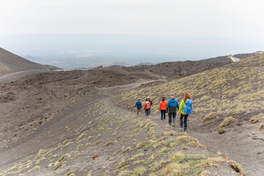 Catania: Mount Etna Morning or Sunset Day Trip with Tasting - What this tour does not do