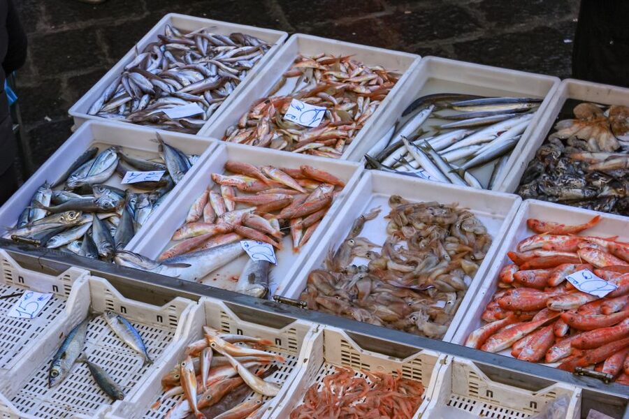 Catania: Street Food Guided Walking Tour - Key points before you book