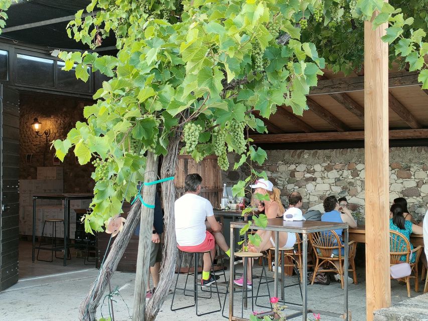 Cavaion: Lake Garda Wine & Food Tasting with Vineyard Tour - Walking Through the Vineyard and Olive Trees