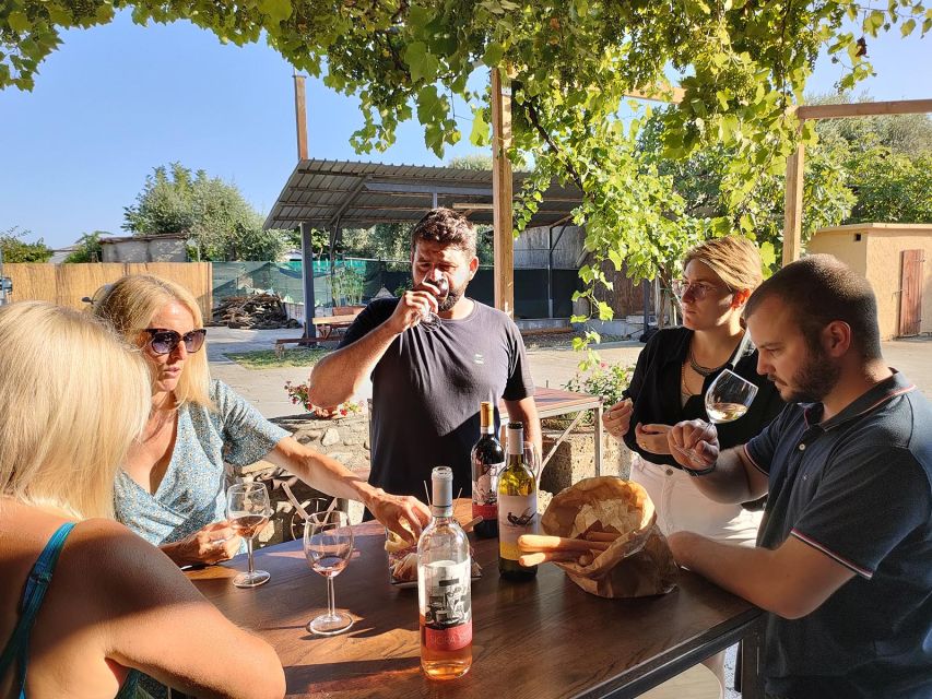 Cavaion: Lake Garda Wine & Food Tasting with Vineyard Tour - Who Will Enjoy This Vineyard Visit?