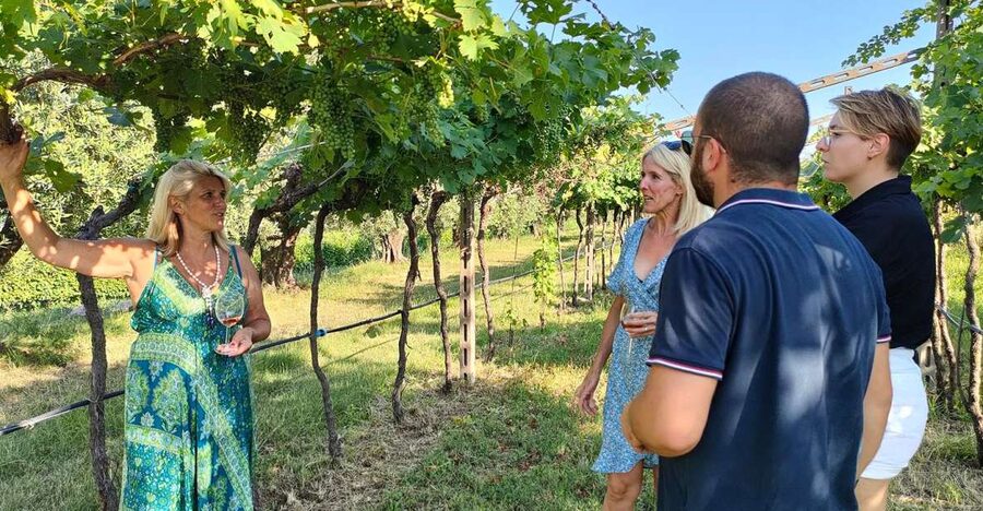 Cavaion: Lake Garda Wine & Food Tasting with Vineyard Tour - Under the Arbor, the Tasting Begins