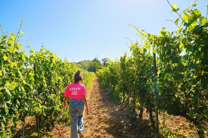 Chianti Vineyards Escape from Florence with Two Wine Tastings - Starting at Piazzale Montelungo