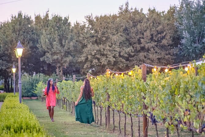 Chianti Vineyards Escape from Florence with Two Wine Tastings - Wine, food, and the value of the tastings