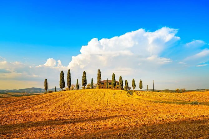 Chianti Vineyards Escape from Florence with Two Wine Tastings - Who should book this half-day escape