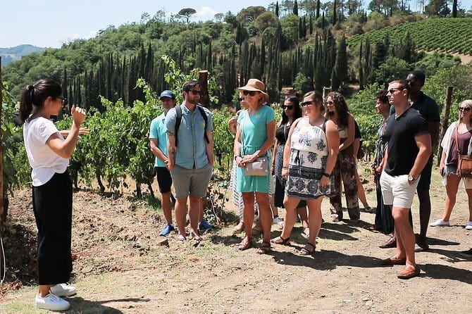 Chianti Wine Tour from Florence - Stop one: a small organic winery and a personal welcome