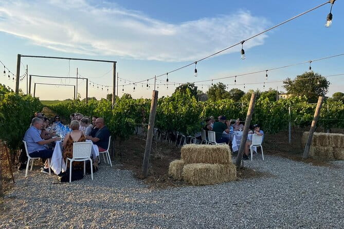 Chianti Wine Tour from Florence with Tastings - From Florence to the Chianti hills