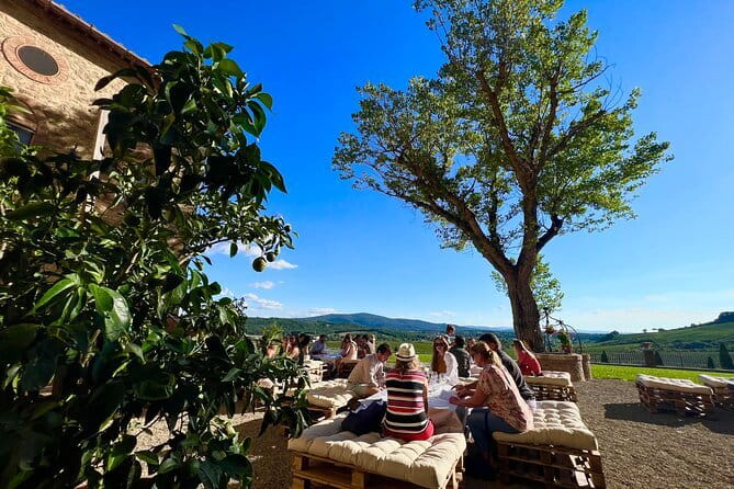Chianti Wine Tour from Florence with Tastings - Seven wines, olive oil, and a proper snack break