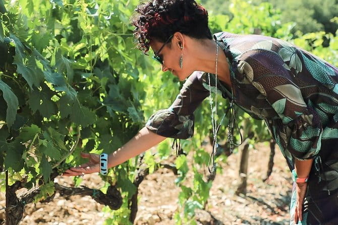 Chianti Wine Tour from Florence - The road through Sienese Chianti Classico
