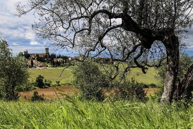 Chianti Wineries Tour with Tuscan Lunch and San Gimignano - What to wear and how to prepare