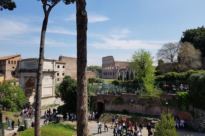 Colosseum Arena Floor, Roman Forum and Palatine Hill Guided Tour - Who will enjoy this tour most?
