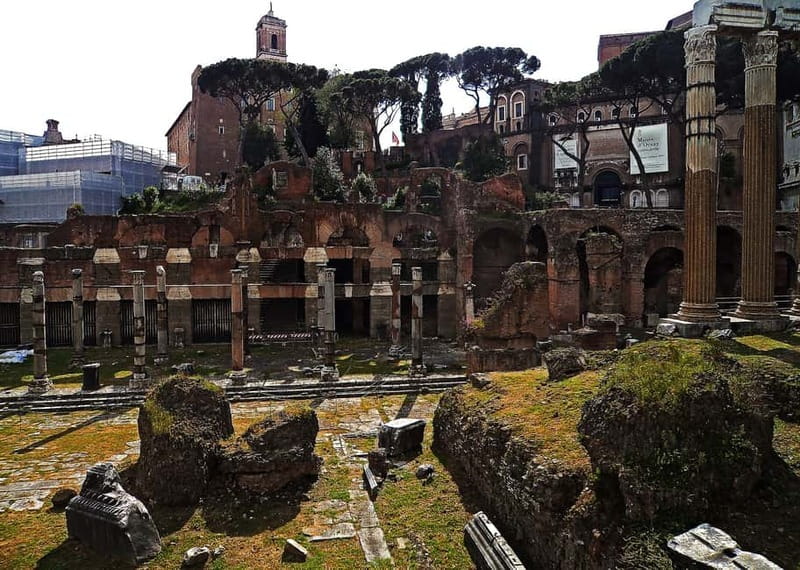 Colosseum, Forum & Palatine Hill Guided Walking tour - Walking through the Roman Forum