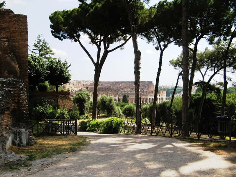 Colosseum, Forum & Palatine Hill Guided Walking tour - Guides who bring the ruins into focus