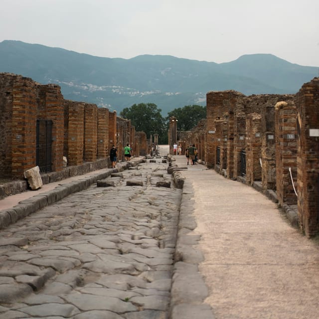 Discover Pompeii: French Walking Tour of the Buried City - Practical details before you book