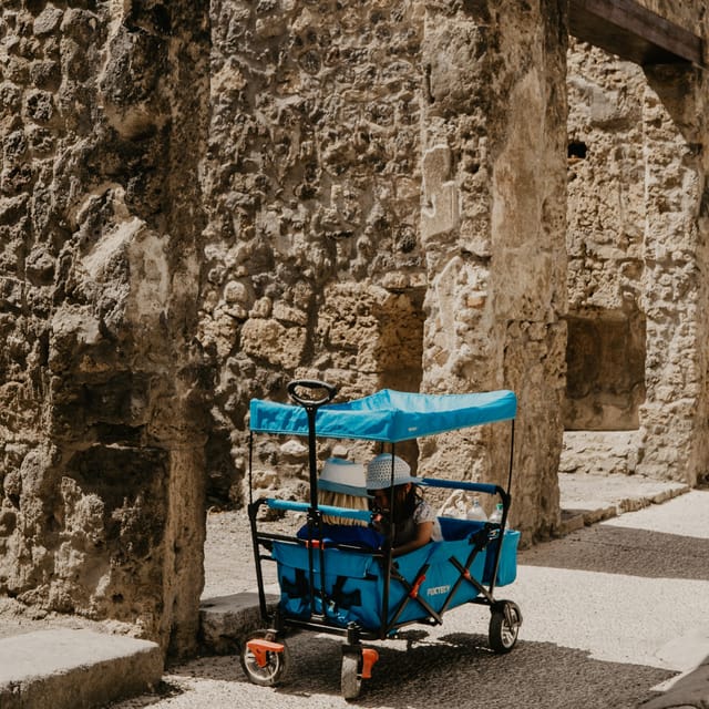 Discover Pompeii: French Walking Tour of the Buried City - Two hours among Pompeii’s streets and houses