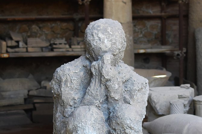 Discover the Ancient Ruins of Pompeii: Day Trip from Rome - Seeing Pompeii with a local guide