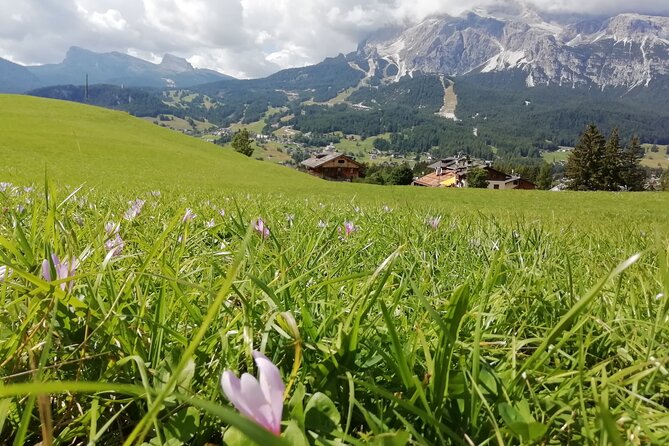 Discover the Dolomites, Cortina and Lake Braies from Venice - Lake Misurina and the final views
