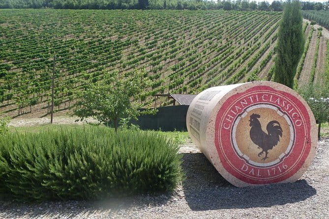 Essence of Chianti Small Group Tour with Lunch and Tastings from Florence - Three Chianti wineries, one long Tuscan day