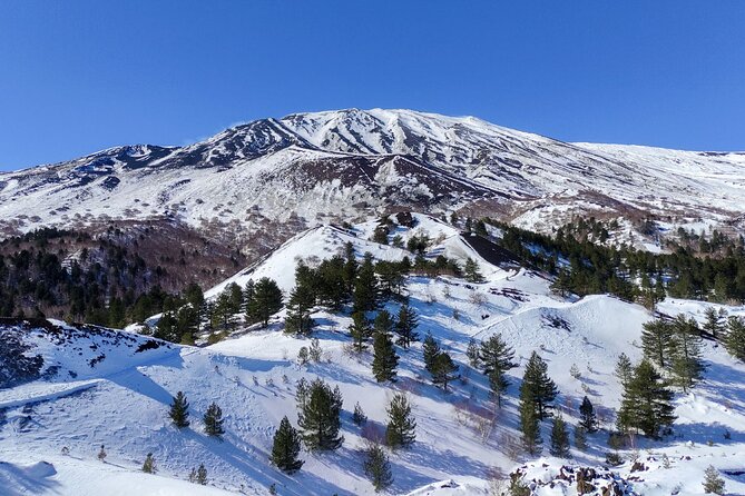 Etna and Alcantara Gorges Excursion - Is the $107.68 price good value?