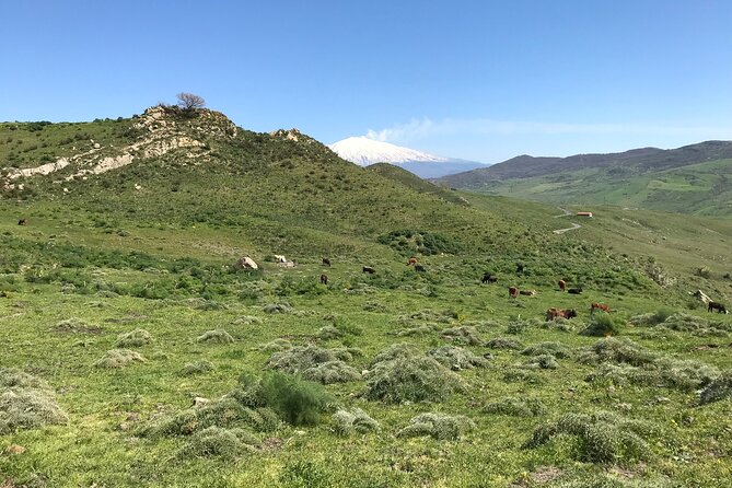 Etna Morning Jeep Tour - The Bove Valley and Etna’s wide eastern view