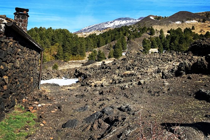 Etna Morning Jeep Tour - Local wine, honey, and olive oil at Zafferana