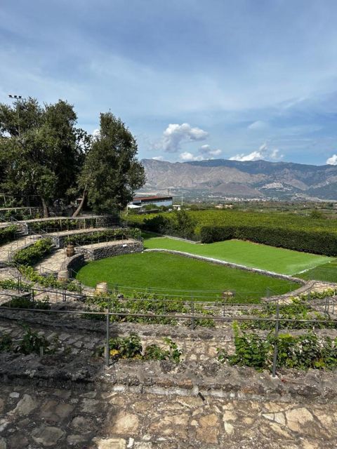 Etna: Wine Tasting and Food Tour - The price, $129.14, and what it covers