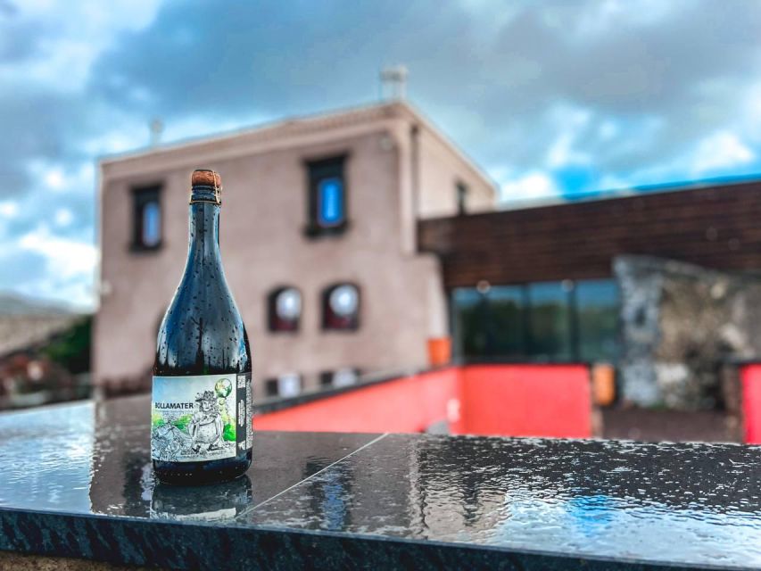 Etna: Wine Tasting and Food Tour - Who should book this Etna wine tour?