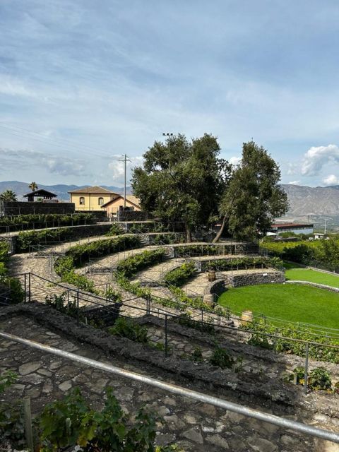 Etna: Wine Tasting and Food Tour - Should you book it?
