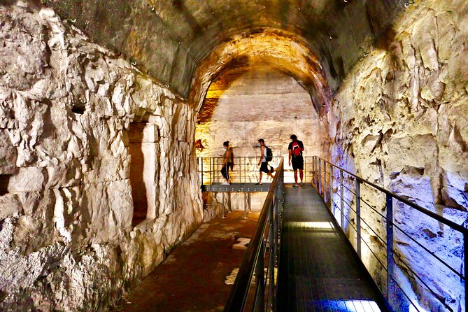 Expert Guided Tour of Colosseum Arena OR Underground, and Forum - Entering the Colosseum through the Arena or Underground