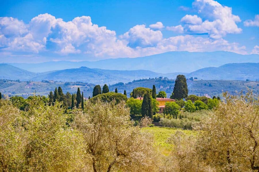 Florence: Chianti E-Bike Tour with Lunch & Two Wine Tastings - Key Points to Know Before You Book