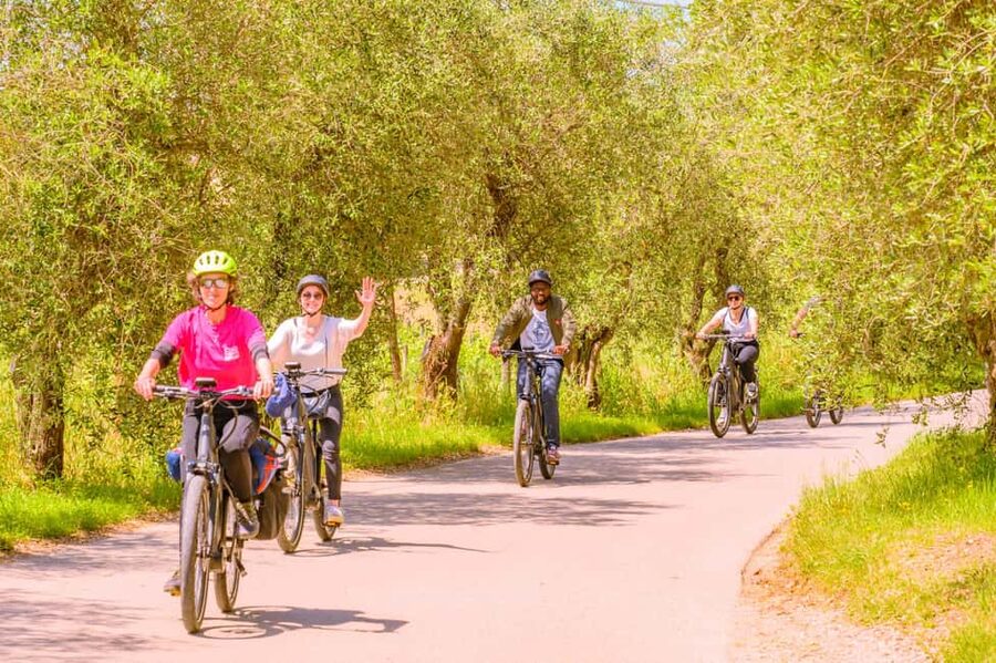 Florence: Chianti E-Bike Tour with Lunch & Two Wine Tastings - Who Should Book This Tour?