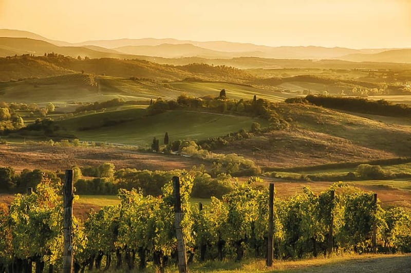 Florence: Chianti Vineyards Tour with Wine Tasting & Dinner - Is $123.48 a fair price?