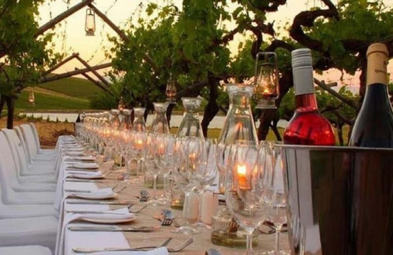 Florence: Chianti Vineyards Tour with Wine Tasting & Dinner - Wine tasting in the estate cellars