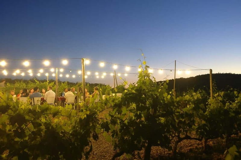 Florence: Chianti Vineyards Tour with Wine Tasting & Dinner - Aperitif and local farm products