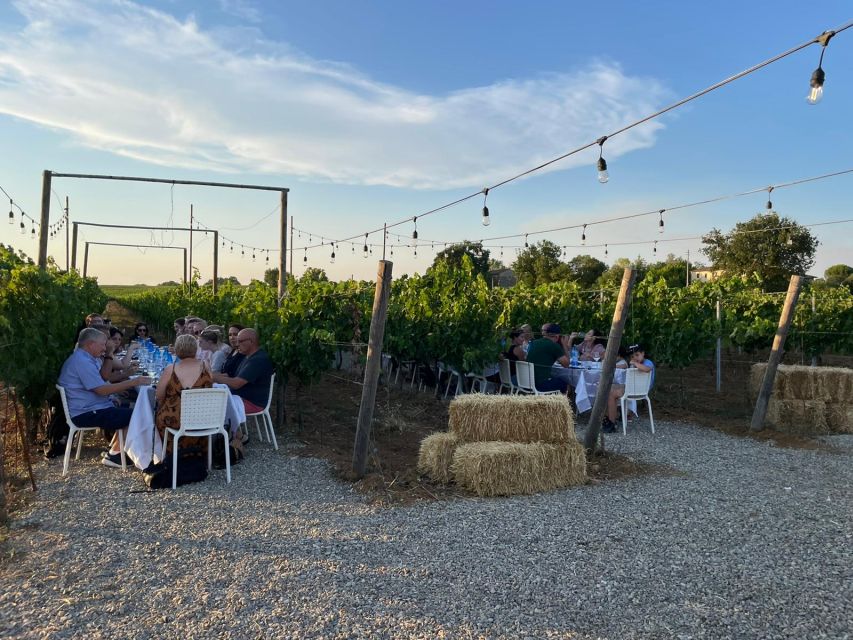 Florence: Chianti Vineyards Tour with Wine Tasting & Dinner - The Tuscan dinner among the vines