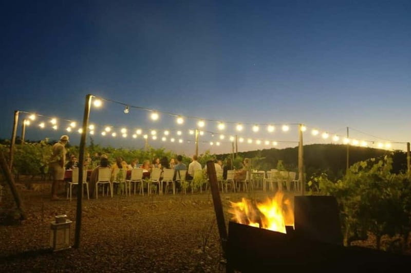 Florence: Chianti Vineyards Tour with Wine Tasting & Dinner - How the group size affects the evening
