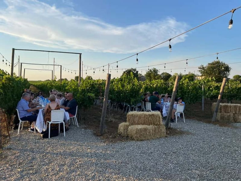 Florence: Chianti Vineyards Tour with Wine Tasting & Dinner - Vegetarian, celiac, and mobility considerations