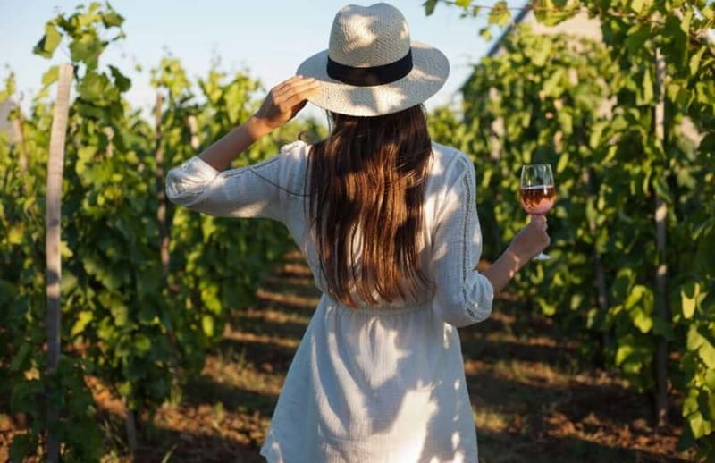 Florence: Chianti Vineyards Tour with Wine Tasting & Dinner - The drive from Florence to the estate