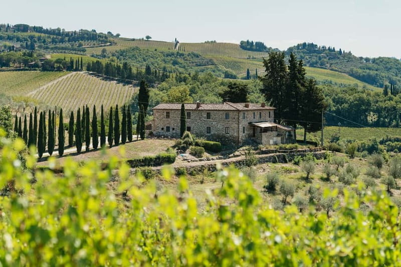 Florence: Chianti Wineries Tour with Wine Tasting - First winery: barrels, vineyards, and the Chianti Classico rules