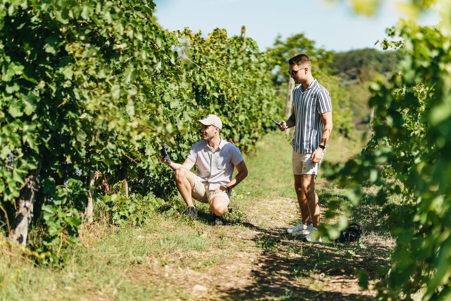 Florence: Chianti Wineries Tour with Wine Tasting - The ride between stops and the changing Tuscan views