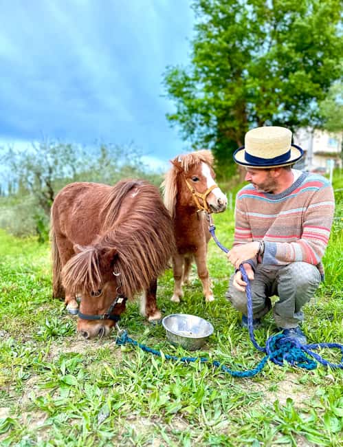 Florence: Countryside Tour with Wine Tasting & Pasta Class - The farm walk: vines, olive trees, and a possible pig encounter