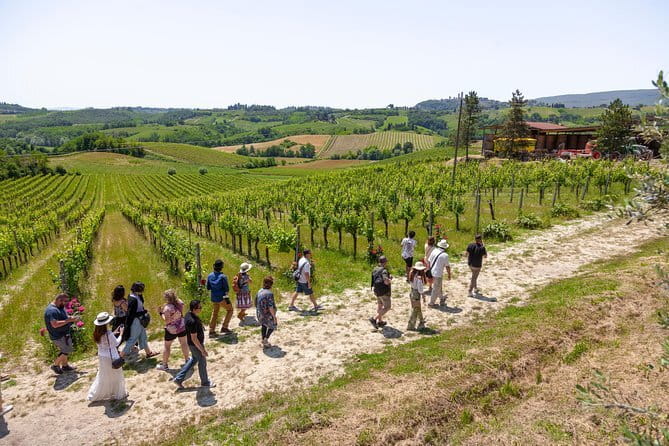 Florence Day Trip: Pisa, San Gimignano and Siena with Lunch - Siena, the Palio city, and the cathedral