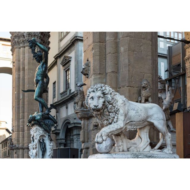 Florence: Medici Family Guided Walking Tour - Pitti Palace, the family’s final residence
