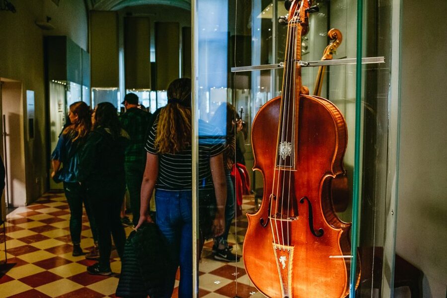 Florence: Michelangelo's David Skip-the-Line Entry Ticket - Renaissance paintings beyond the famous statue