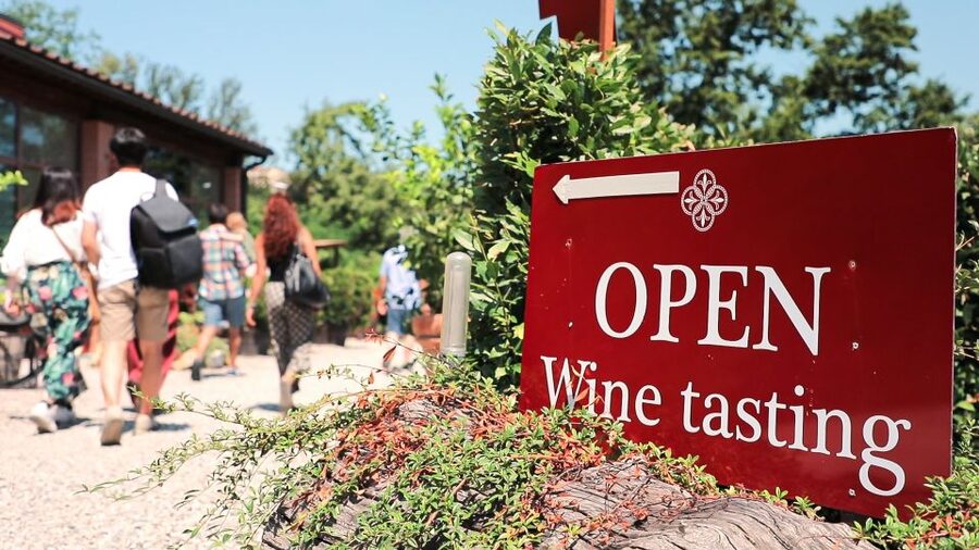 Florence: Pisa, Siena, S. Gimignano, Chianti Wine & Lunch - A drive through Chianti countryside